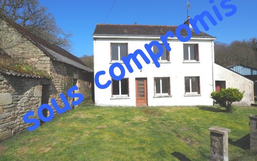 4 bedroom stone house, outbuildings and large hangar