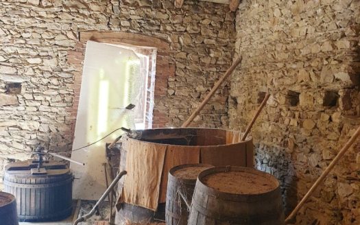 Charming house of 90 sqm with many outbuildings