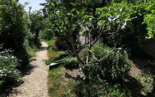 Old house with garden