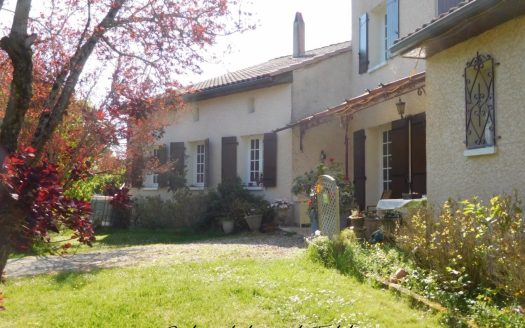 Large family house