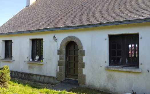 Traditional house