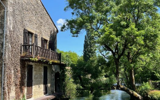 A water mill in an unique environment
