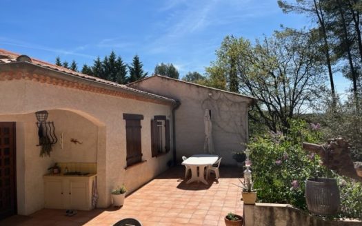 Provencal house and its pine forest with a view