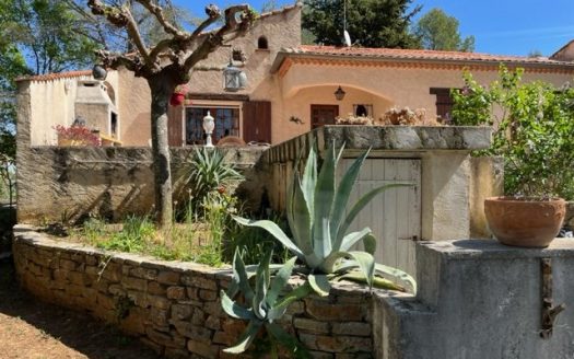 Provencal house and its pine forest with a view