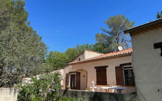 Provencal house and its pine forest with a view