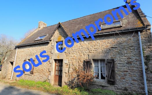 Stone house to renovate