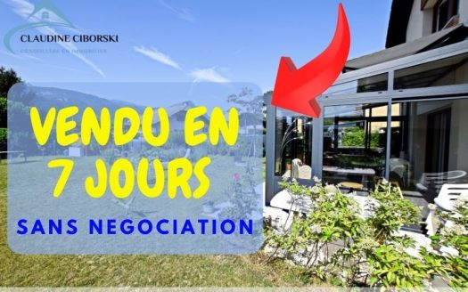 Marignier – Discover our Oasis of Serenity – Semi-detached Villa with Spa, View of the Bargy