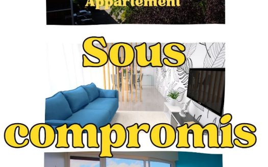 Beautiful apartment in the Louvrais district