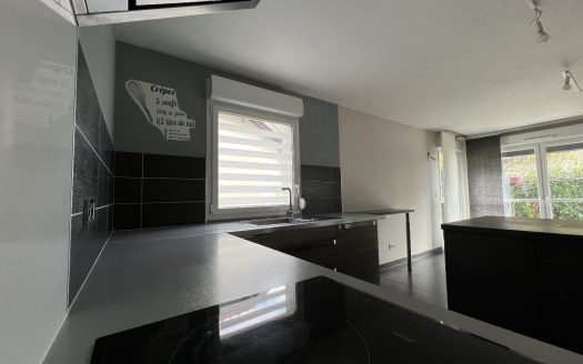 T4 duplex apartment with garden level