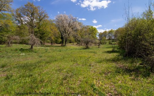 Building land with trees of 6700 sqm