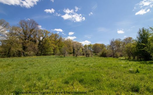 Building land with trees of 6700 sqm