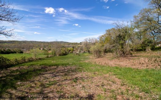 Building land with trees of 6700 sqm