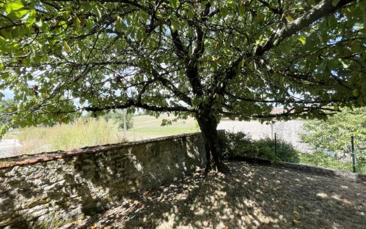 CHARENTAISE OF 289M² WITH GARDEN