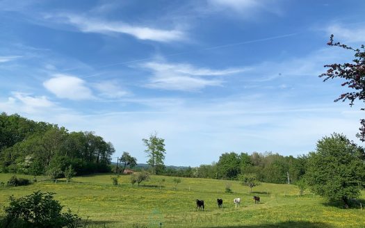 COUNTRY HOUSE WITH OUTBUILDINGS AND 2.4 HA OF LAND
