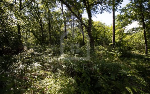 2300 sqm Buildable Land – Operational Planning Certificate Granted – 15 Minutes from Sarlat