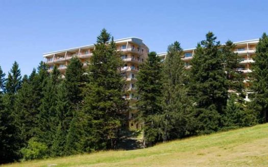 3 stars Residence 'L'Ecrin des Neiges' offers this 2-bed fully furnished apartment with indoor POOL and private TERRACE