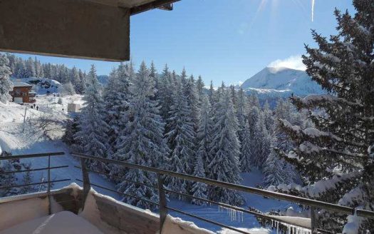 3 stars Residence 'L'Ecrin des Neiges' offers this 2-bed fully furnished apartment with indoor POOL and private TERRACE