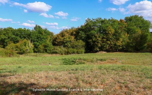 Two houses, a swimming pool, a building plot and strong rental potential