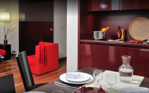 Let and managed studio apartment in Paris 15th arrondissment