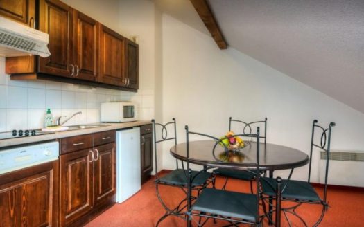 An investment property in a tourist residence with an annual income of €4,298 before taxes and a 5 % return in Évian-les-Bains