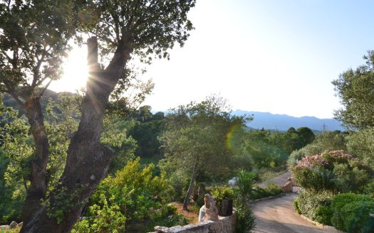 In the peace of a charming hamlet, 15km of the beaches, villa 3 bedrooms with swimming pool, view and large studio